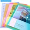 10 Pack Plastic File Folders with Label Pockets Envelopes (Assorted Colors)